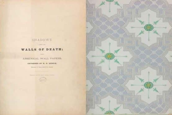 Dunyodagi eng xavfli kitob: uni varaqlash — o‘lim! Dunyodagi eng xavfli kitob: uni varaqlash — o‘lim!